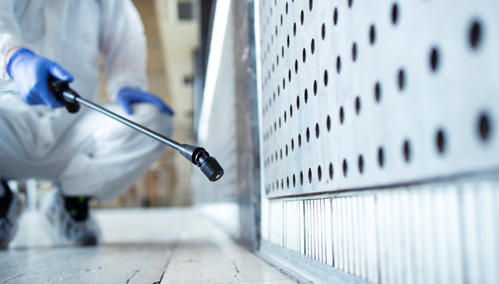 Na&nbsp;czym polega wymrażanie pluskiew i&nbsp;dlaczego jest tak&nbsp;skuteczne?